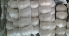 Tenemos ajos blancos puros a la venta