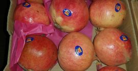 A la venta directo del campo.