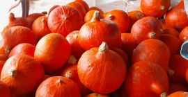 Hola, vendo unas 3 toneladas de calabaza hokaido organica.