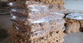 vendo papas vineta y bellarosa