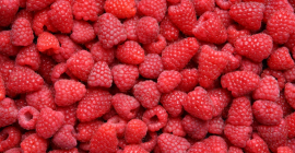 Frambuesas variedad Vilamet, añada 2022, calidad extra, originales, envasadas