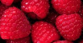 Vendemos una frambuesa congelada 80/20. Todos los documentos para