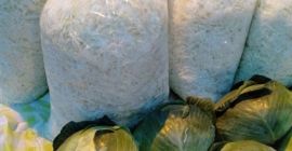 Venderé repollo rallado para encurtir. Triturado bajo pedidos. Una