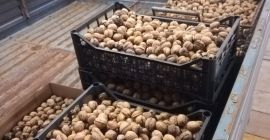 Frutos secos locales ecológicos seleccionados de primera elección.