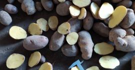 Vendemos patatas comerciales y Vendemos patatas comerciales y patatas de siembra al por