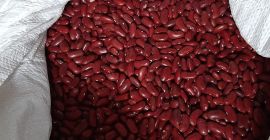 Hola, vendo una cantidad de camión de frijoles rojos.