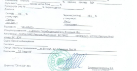 Violación 600 toneladas por semana en venta KODI TEAM