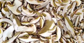 Vendo boletus secos, sanos.Posibilidad de envio.