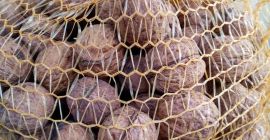 Venderé las nueces secas de este año en mi