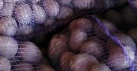 Venderé papas Bellarosa a granel. Invito a las personas
