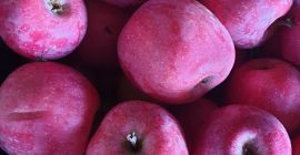 Vendo manzanas, variedades florina/idared, para consumo, recogidas a mano,