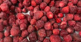 Fresas ultracongeladas producidas orgánicamente en Berkovitsa, Bulgaria. La variedad