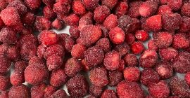 Fresas ultracongeladas producidas orgánicamente en Berkovitsa, Bulgaria. La variedad
