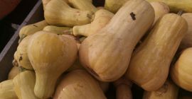 Hola, tengo a la venta calabazas Butternut Atlas, segunda