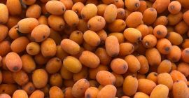 Somos una cooperativa del occidente del país que produce