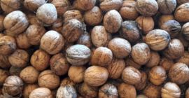 Vendo nueces! Si quieres una cantidad mayor tienes que