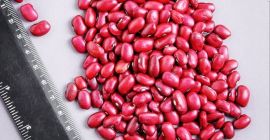 La empresa comercial Frijoles_de_kirguistan se dedica con éxito a