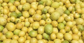Compraremos limón, naranja, mandarina, lima, pomelo rojo, clase II