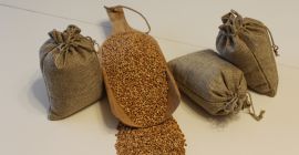 Granos de trigo sarraceno orgánico certificado, ligeramente tostados. De