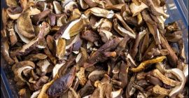Venderé setas mixtas del bosque... en su mayoría boletes,
