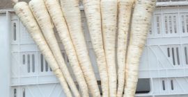 Hola vendo perejil lavado por encargo empaque a convenir