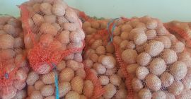 Venderé papas a la vineta. Envasado en sacos de