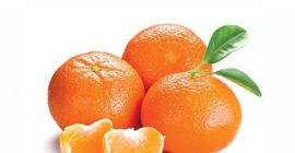 Venta de mandarina clementina.