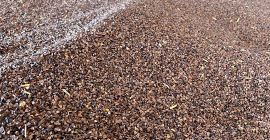 Hola, vendo trigo sarraceno limpio, cosecha 2022, humedad 13,5%.