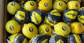 Nuestro objetivo es proporcionar la mejor calidad para mantener