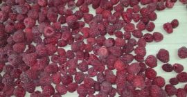 A la venta frambuesas de la variedad Vilamet, calidad