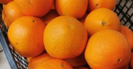Venderé naranja española, variedad neveline, muy dulce y sin