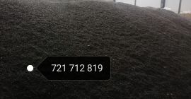 Venderé un girasol negro. Contenido de aceite 49%, humedad