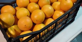 Venderé naranja nevelina española, muy dulce sin carozos, calibre