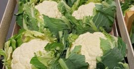 Tenemos muchas verduras a la venta. Te invitamos a