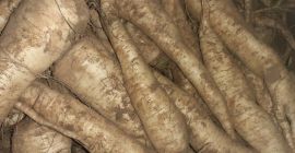 Perejil atika en venta comercial (precio a convenir) y