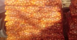 Hola, tengo que vender grandes cantidades de cebollas de