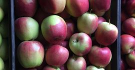 Venderé una manzana orgánica con certificado de postre y