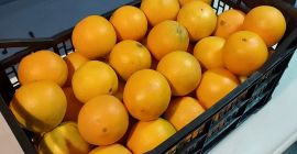 Venderé nevelina de naranja española dulce, jugosa y sin