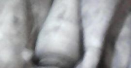 Venderé perejil como en la foto 4 t. A