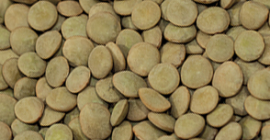Lentejas verdes. origen EE.UU. Producto muy limpio para el