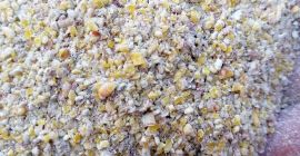 comprare maiz forrajero en forma de salvado o granos