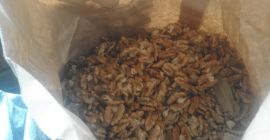 venderé cáscaras de nuez