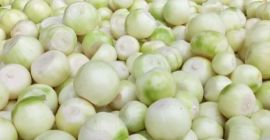 Hola vendo cebollas peladas cal 4+ cebollas sanas y