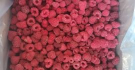 Frambuesa congelada 90/10 Variedad:Polka Envase:11 kg en bolsa de
