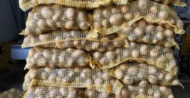 Vendo papas comestibles Gala soraya queen anne Big bag