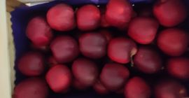 Venderé una manzana preparada por encargo. Puedo preparar cada