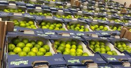 Limes Tahiti Precio EXW Rotterdam: 7 EUR/4,5 KG Marca: