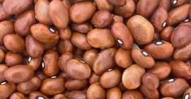 Venta de frijoles integrales Envasados en sacos de 25