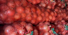 Cebolla de bulbo al por mayor del fabricante. Envasado