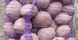 la empresa ucraniana vende papas hay una variedad de